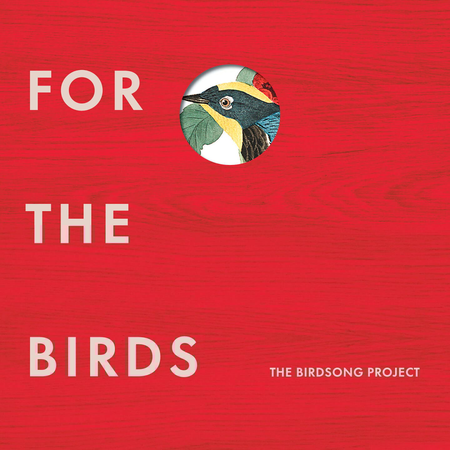 Birds, part two